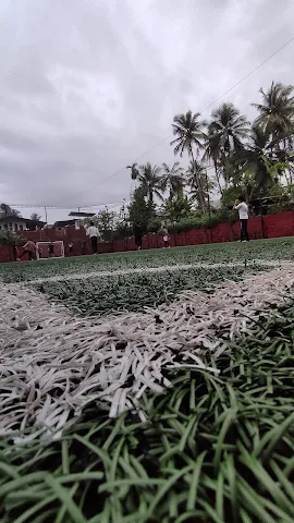 Turf photo 4