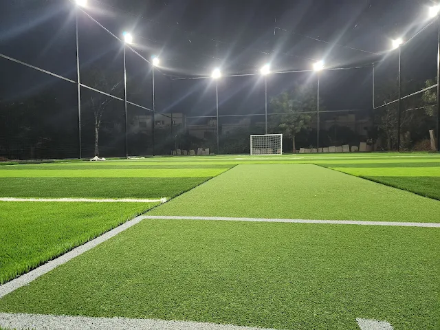 Turf photo 5