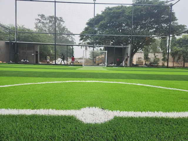 Turf photo 8