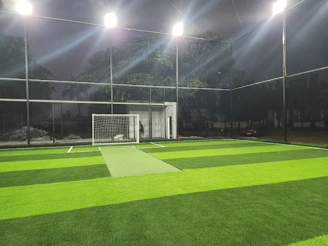 Turf photo 2