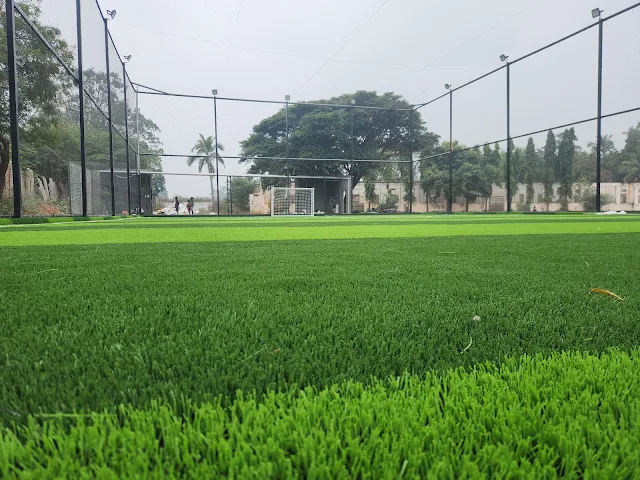 Turf photo 7