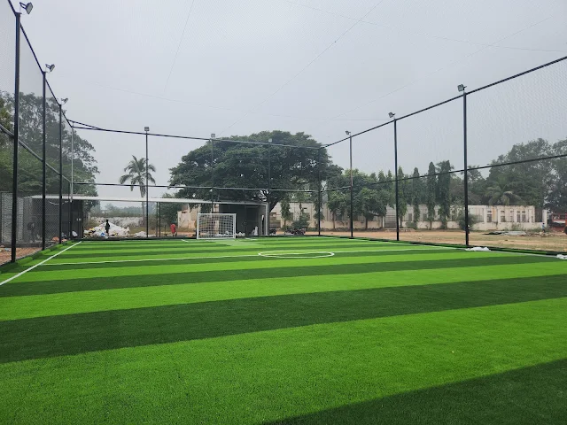 Turf photo 6