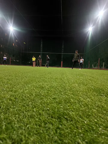 Turf photo 2