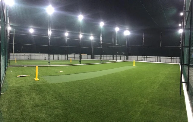 Turf photo 5