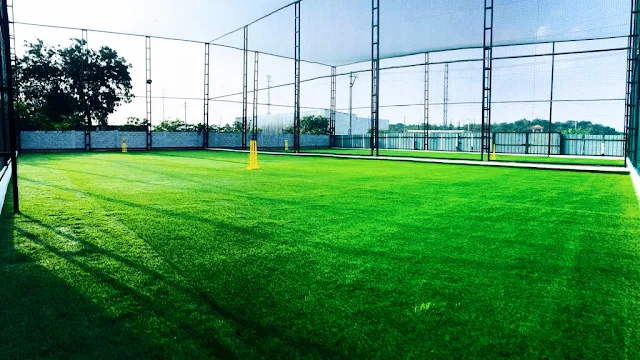 Turf main photo