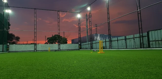 Turf photo 7