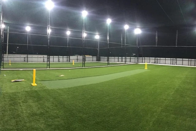 Turf photo 2