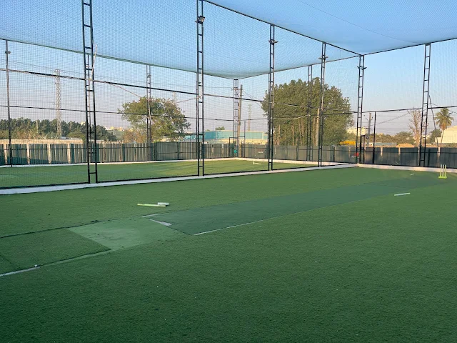 Turf photo 6