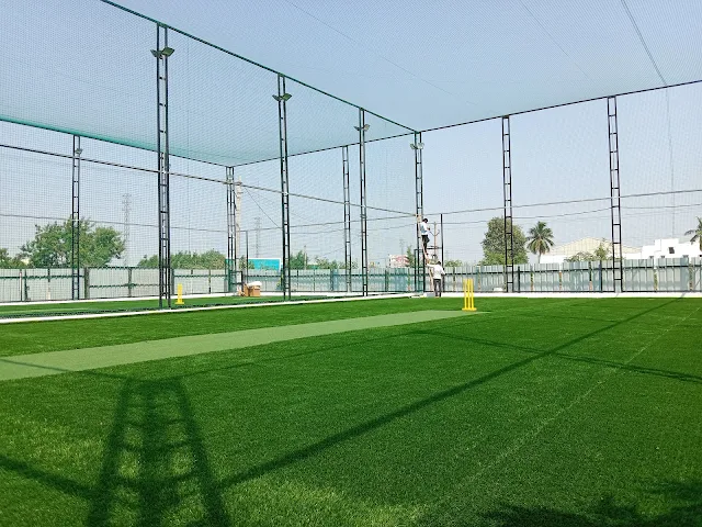 Turf photo 3