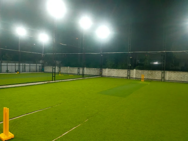 Turf photo 10