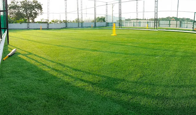 Turf photo 9