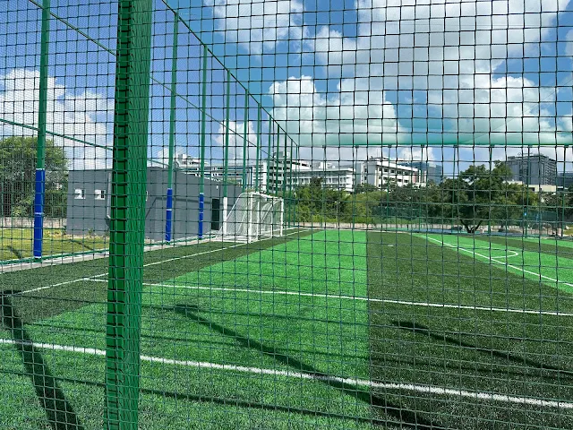 Turf photo 5
