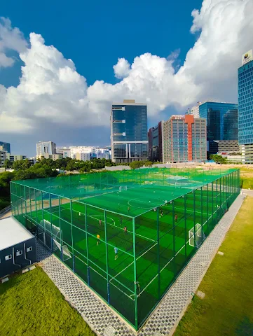 Turf photo 2