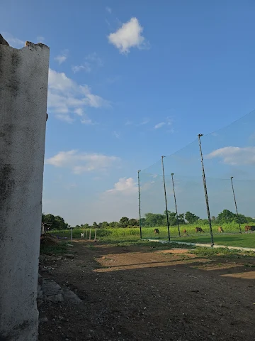 Turf photo 3