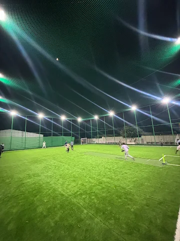 Turf photo 3