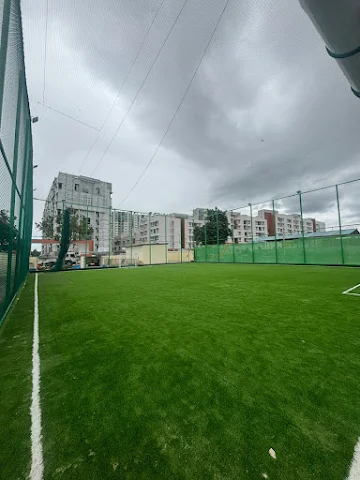 Turf photo 5