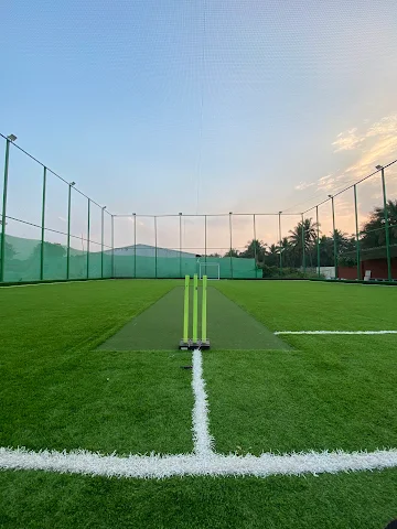 Turf photo 6