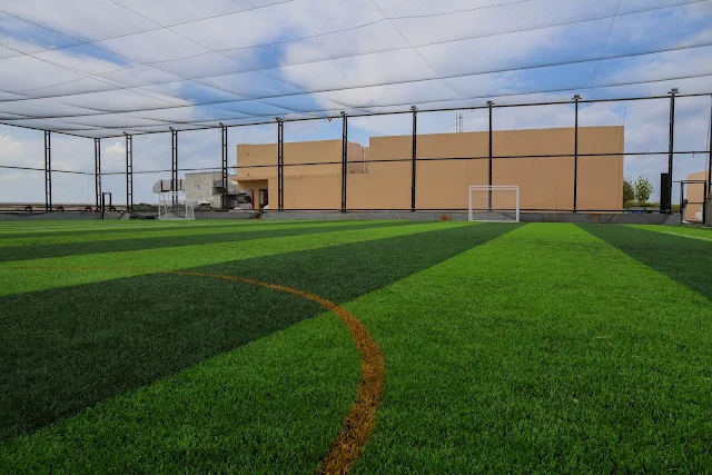 Turf main photo
