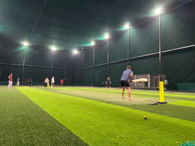 Turf photo 2