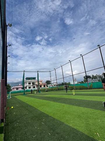 Turf photo 4