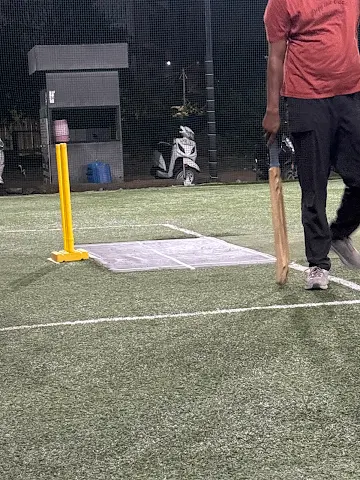Turf photo 3