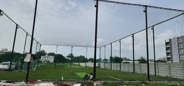 Turf photo 2