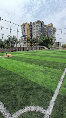 Turf photo 4