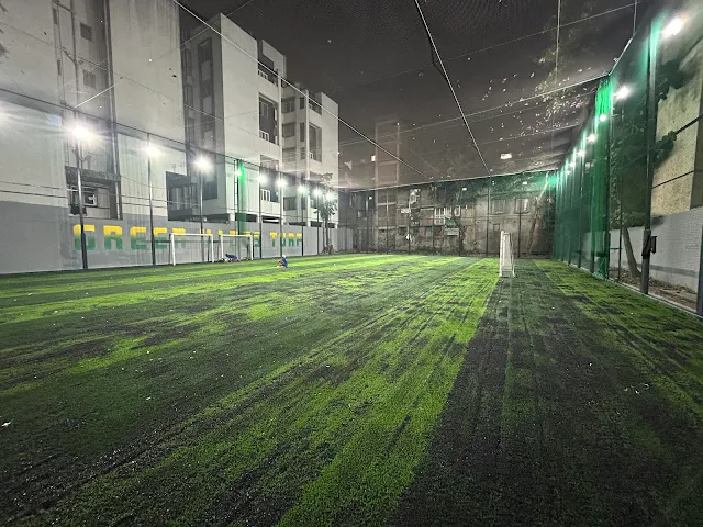 Turf photo 3
