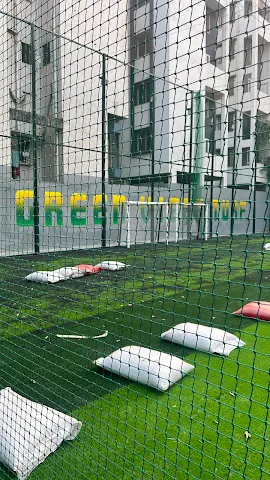 Turf photo 6
