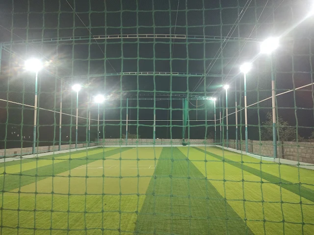 Turf photo 2