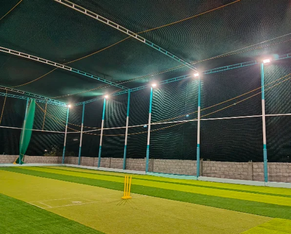 Turf photo 6