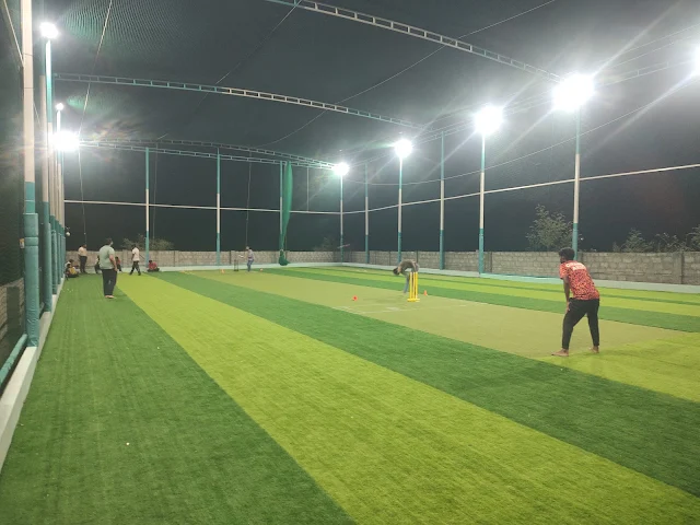 Turf photo 3