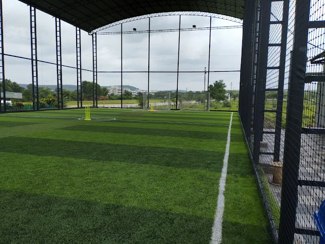 Turf photo 4