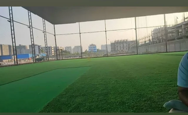 Turf photo 5