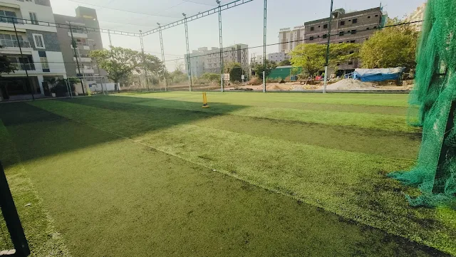 Turf photo 11