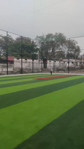 Turf photo 2