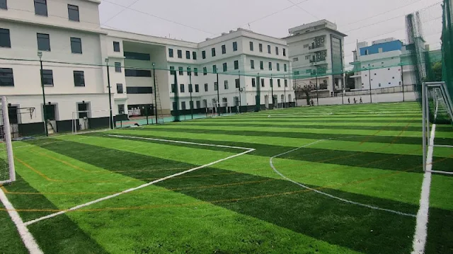 Turf photo 5