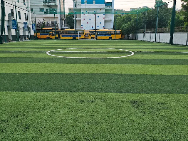 Turf photo 2