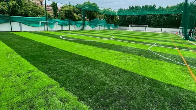Turf photo 6