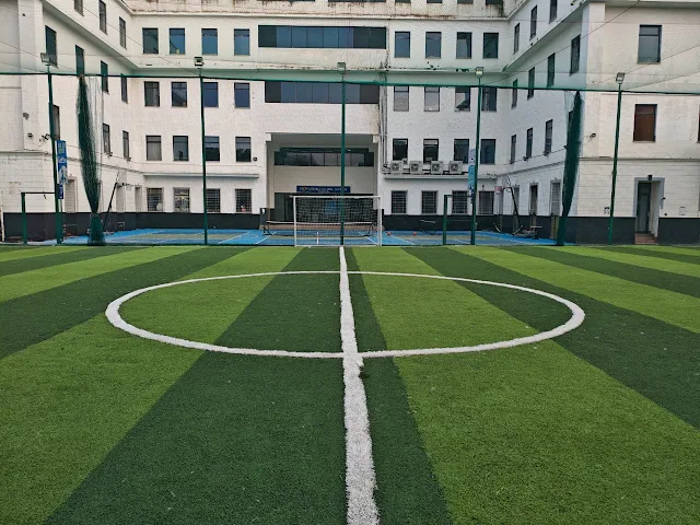 Turf photo 3
