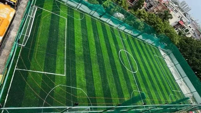 Turf photo 4