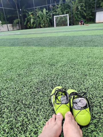 Turf photo 5