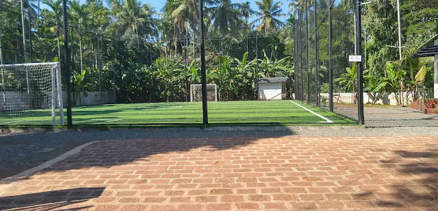 Turf photo 4