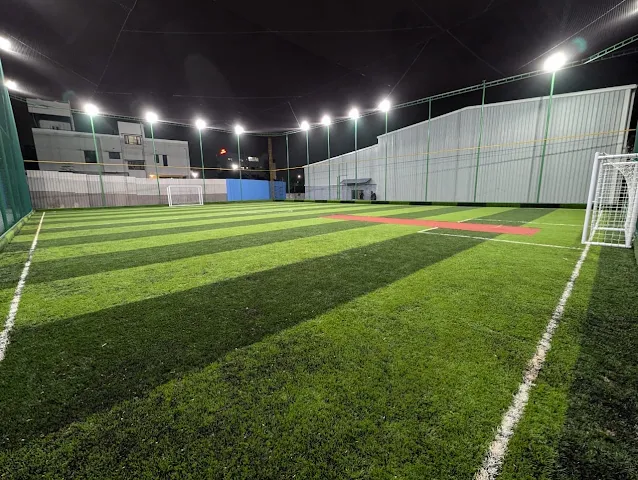 Turf photo 2