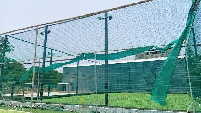 Club D Wins Big Box Cricket Turf