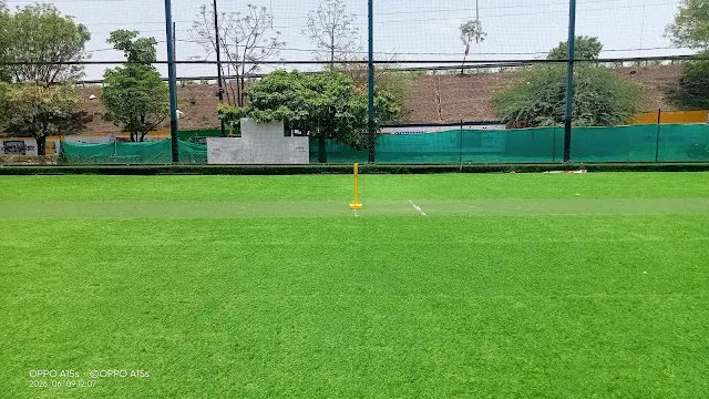 Turf photo 2