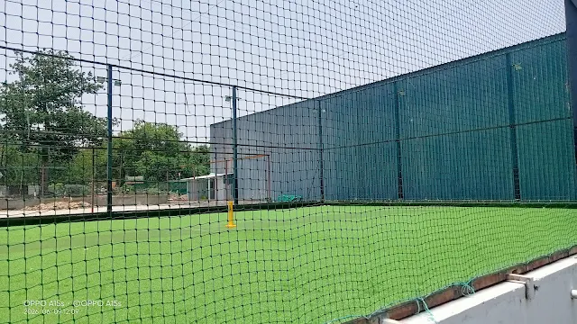 Turf photo 3