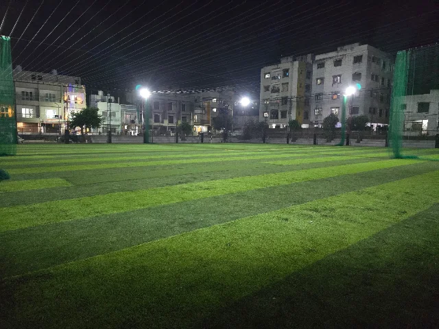 Turf photo 3