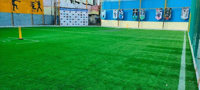 Turf photo 5