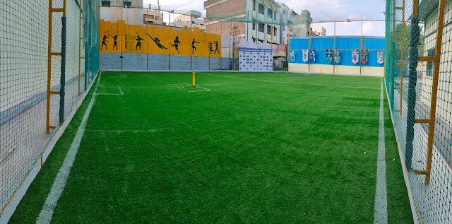 Turf photo 2